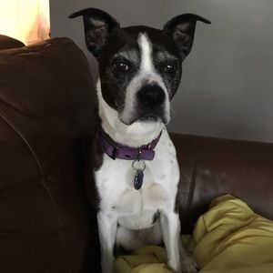 Meet your Posher, Amy